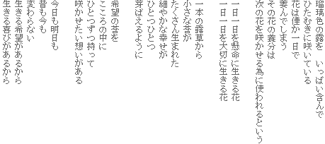 瑠璃色の露を いっぱい含んで
ひたむきに咲いている
花は僅か一日で
萎んでしまう
その花の養分は
次の花を咲かせる為に使われるという
一日一日を懸命に生きる花
一日一日を大切に生きる花
一本の露草から
小さな莟が
たくさん生まれた
細やかな幸せが
ひとつひとつ
芽ばえるように
希望の莟を
こころの中に
ひとつずつ持って
咲かせたい想いがある
今日も明日も
昔も今も
変わらない
生きる希望があるから
生きる喜びがあるから